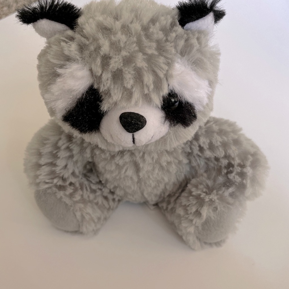 TAG Beaty Babies raccoon